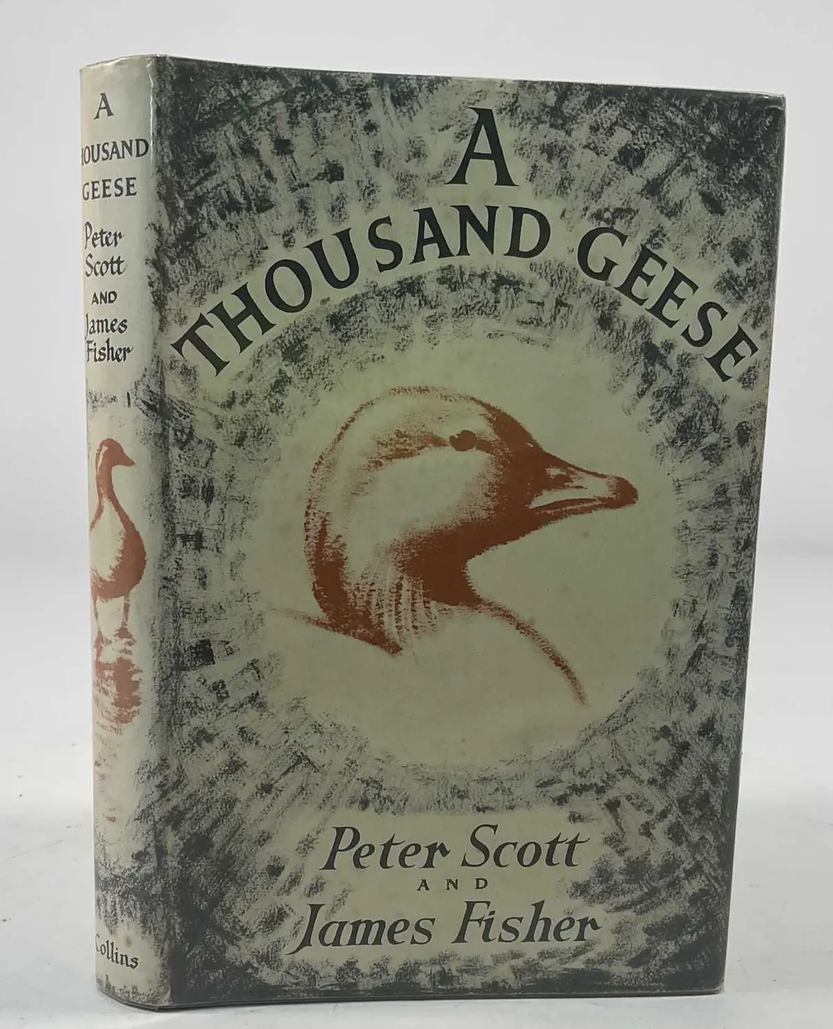 PETER SCOTT & JAMES FISHER; A Thousand Geese