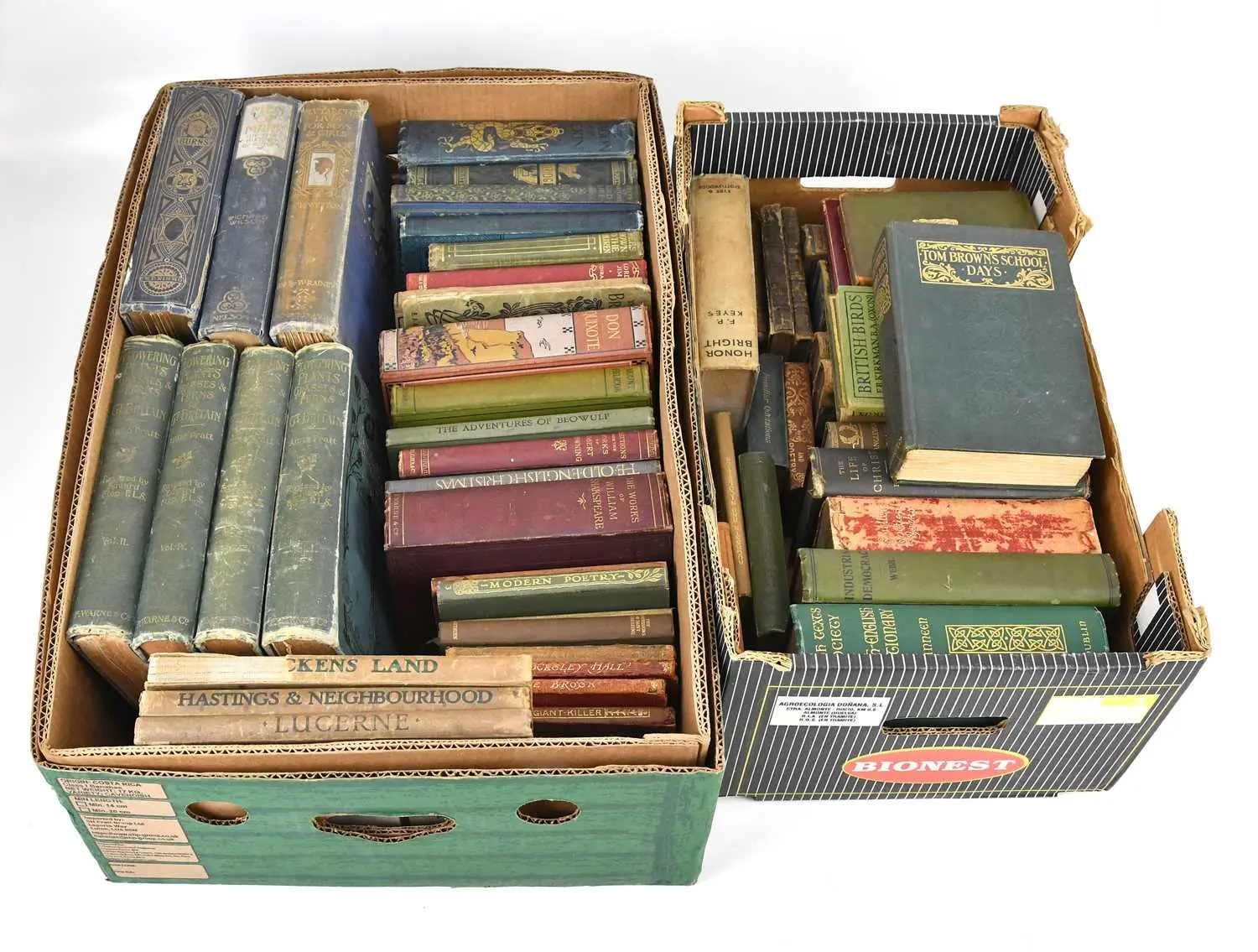 A miscellany of leather and cloth bound books