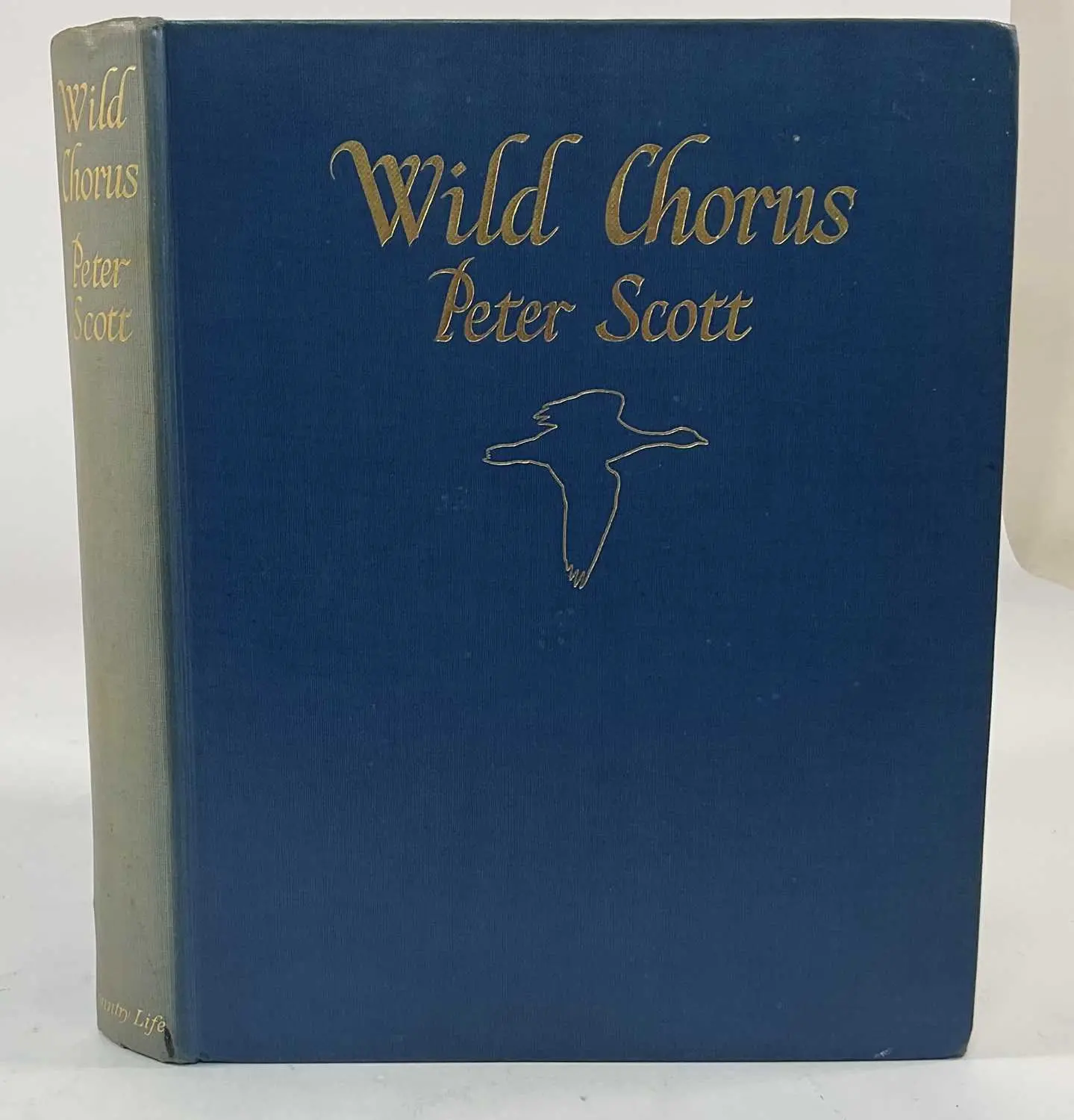 PETER SCOTT; Wild Chorus