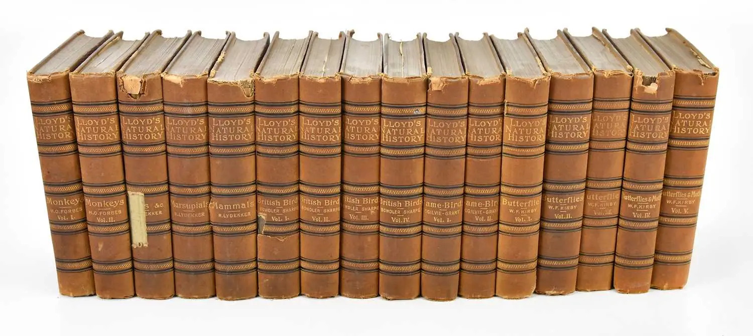 LLOYDS NATURAL HISTORY; 16 vols