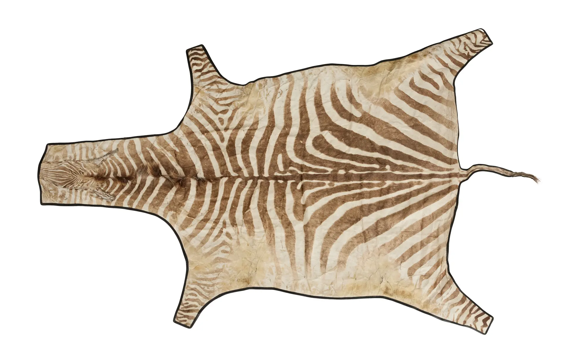 Vintage Zebra Hide Rug