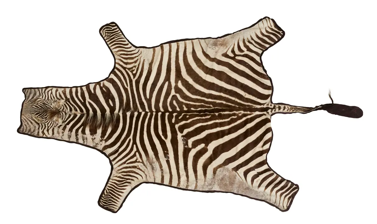 Vintage Zebra Hide Rug