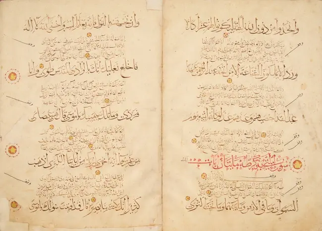 A selection of leaves from an unusual