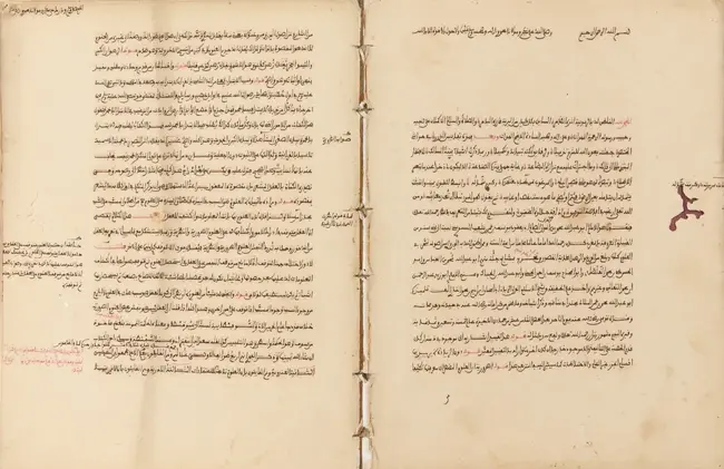 A compilation on fiqh