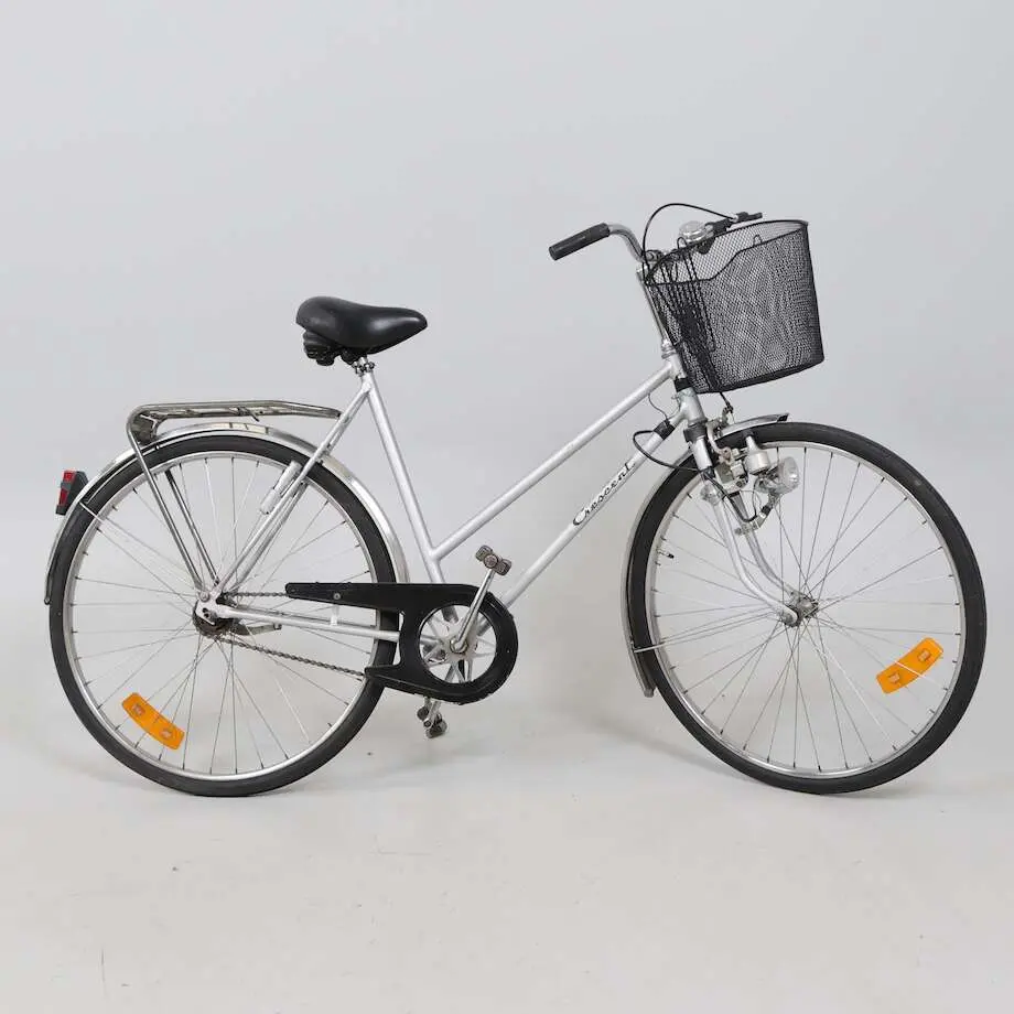 Damcykel