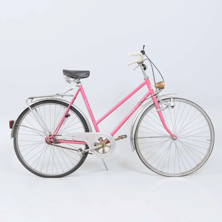 Damcykel