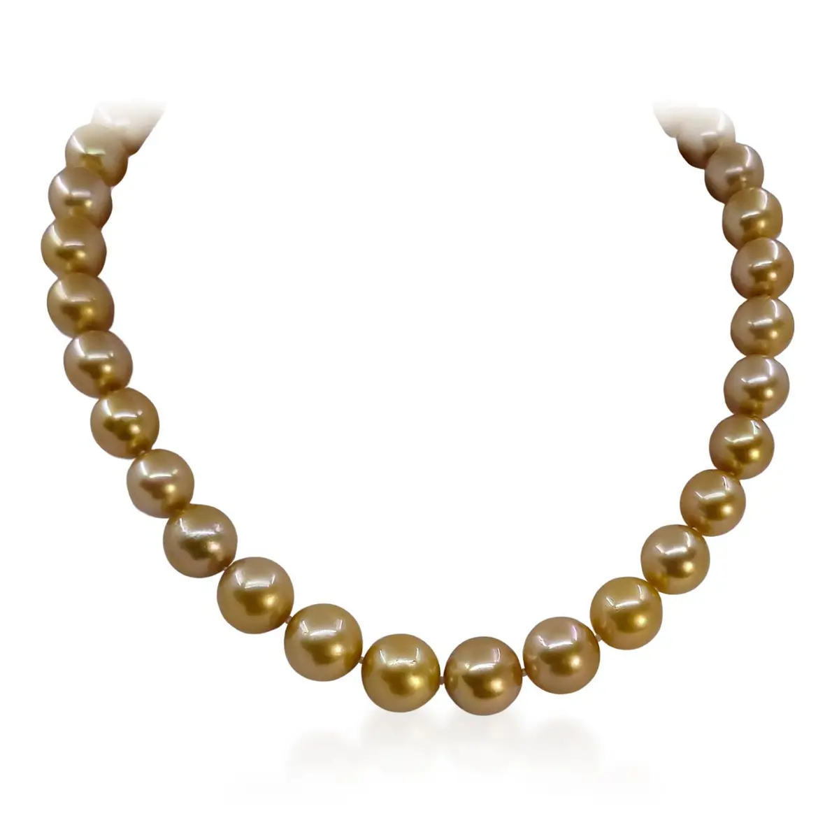 Deep Golden South Sea Pearl Necklace