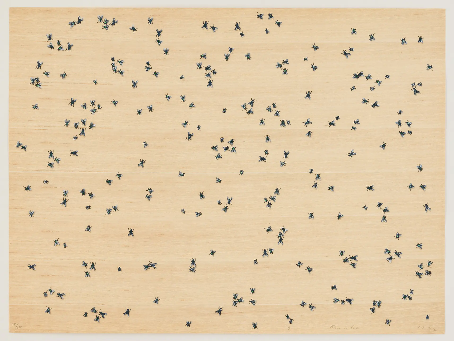 ED RUSCHA. "Flies" from Insects Portfolio.