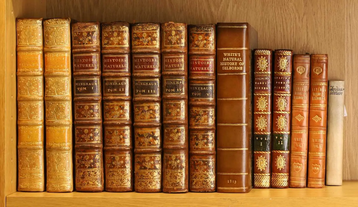 Natural History- Gilpin, William: Remarks on Forest Scenery, and other