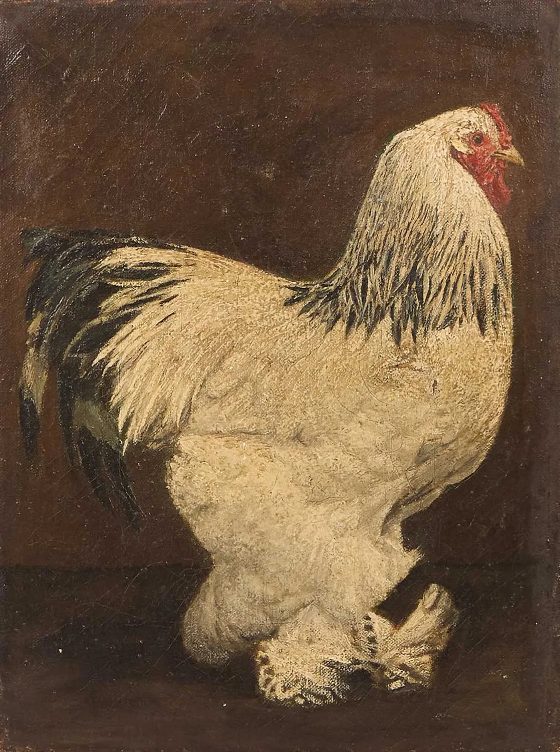 English School, 20th century A Brahma hen