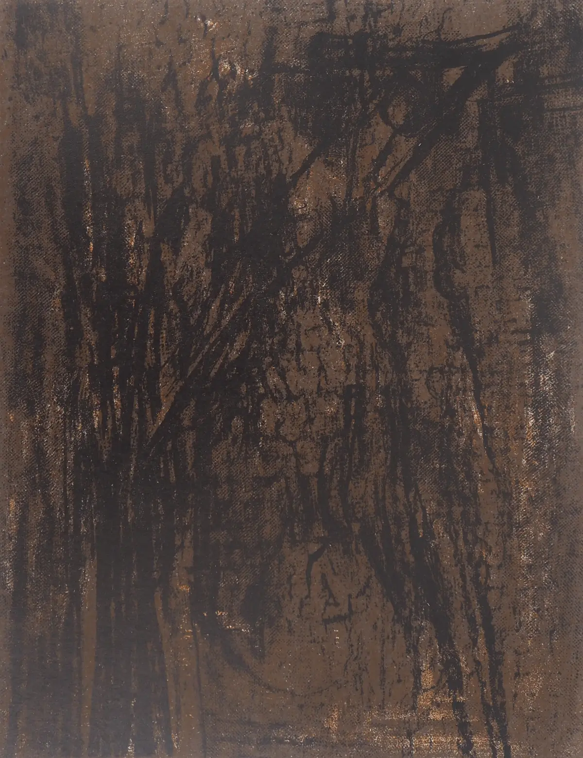 Maria Helena VIEIRA DA SILVA : Terre du Portugal - Lithographie originale