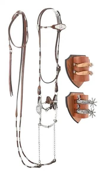 LOT OF 3: SPURS & BRIDLE SET