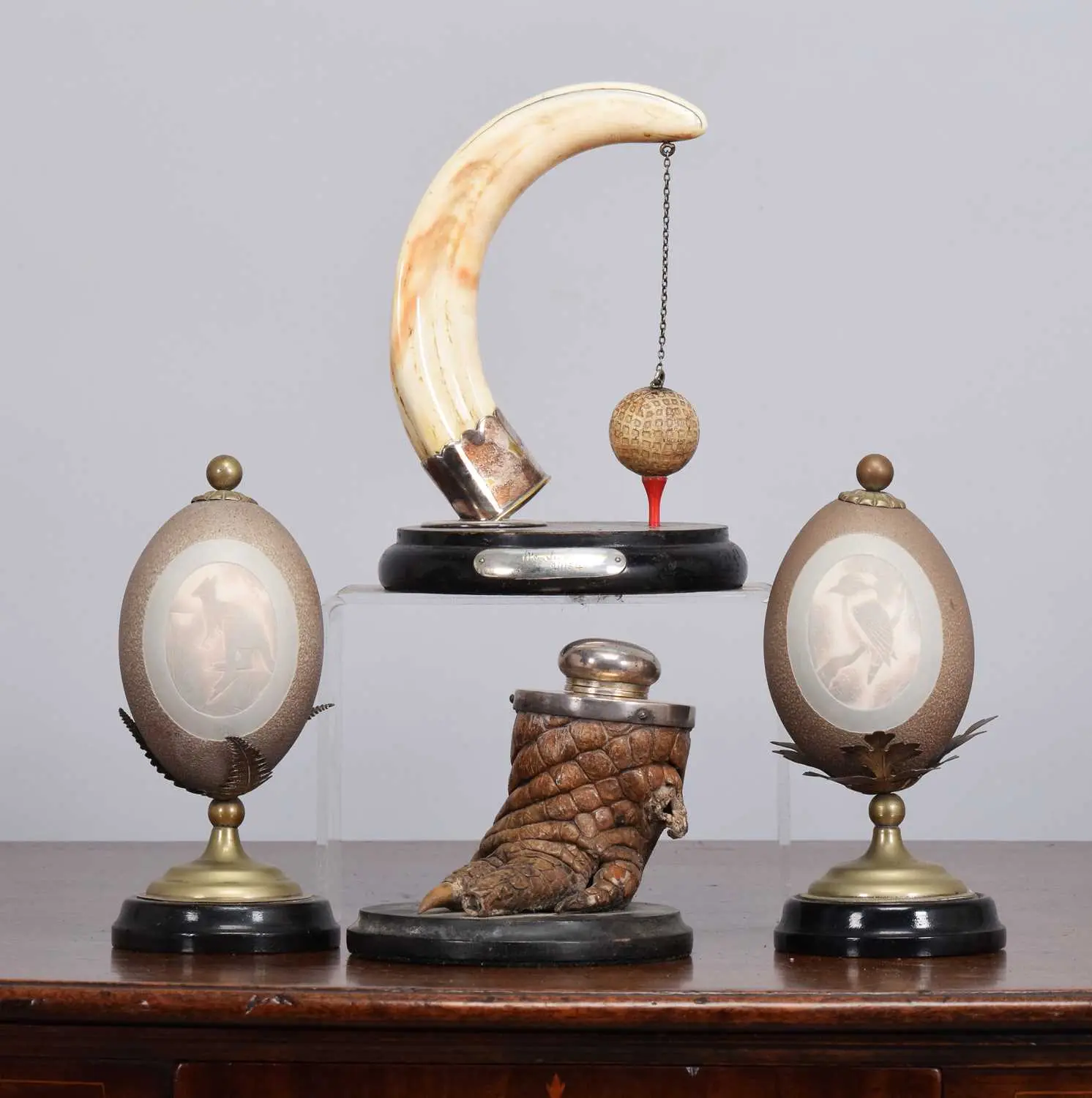 Natural History: A Group of Natural History Collectibles