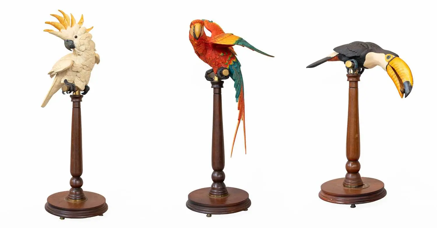 Border Fine Arts Exotic Bird Models, Macaw, Cockatoo, Tucan