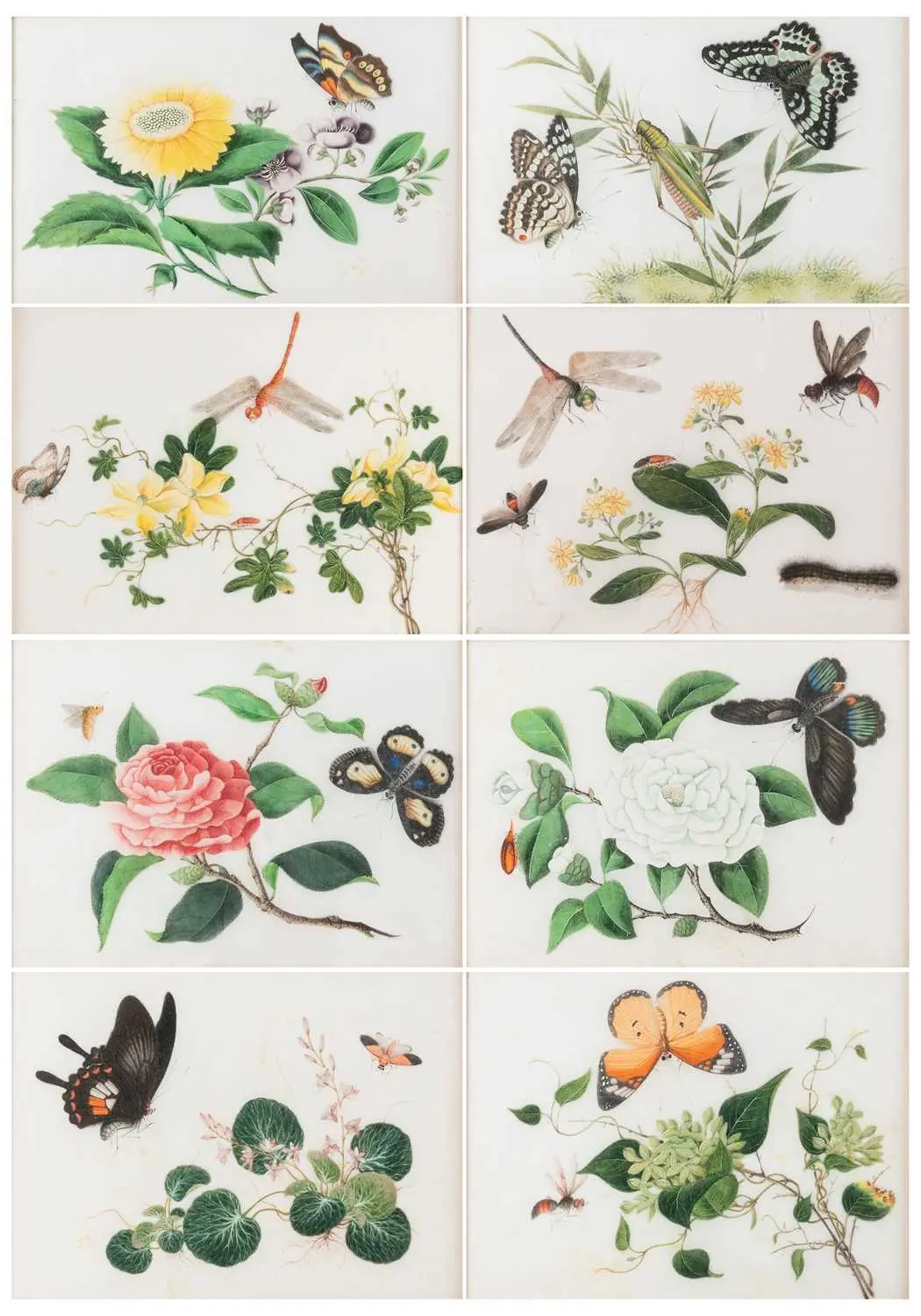 Chinese School (19th century)