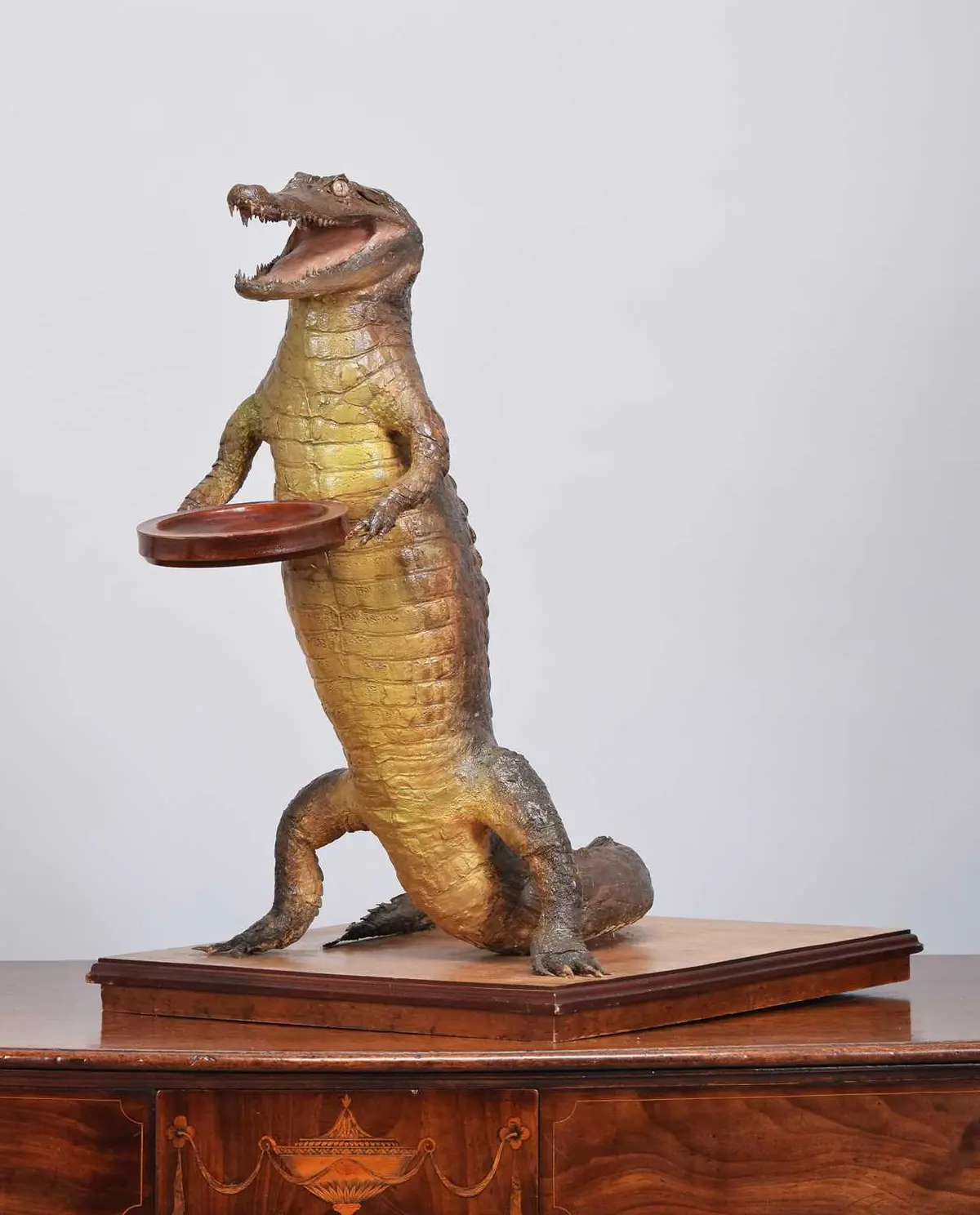 Anthropomorphic Taxidermy:, A Late Victorian Nile Crocodile Waiter