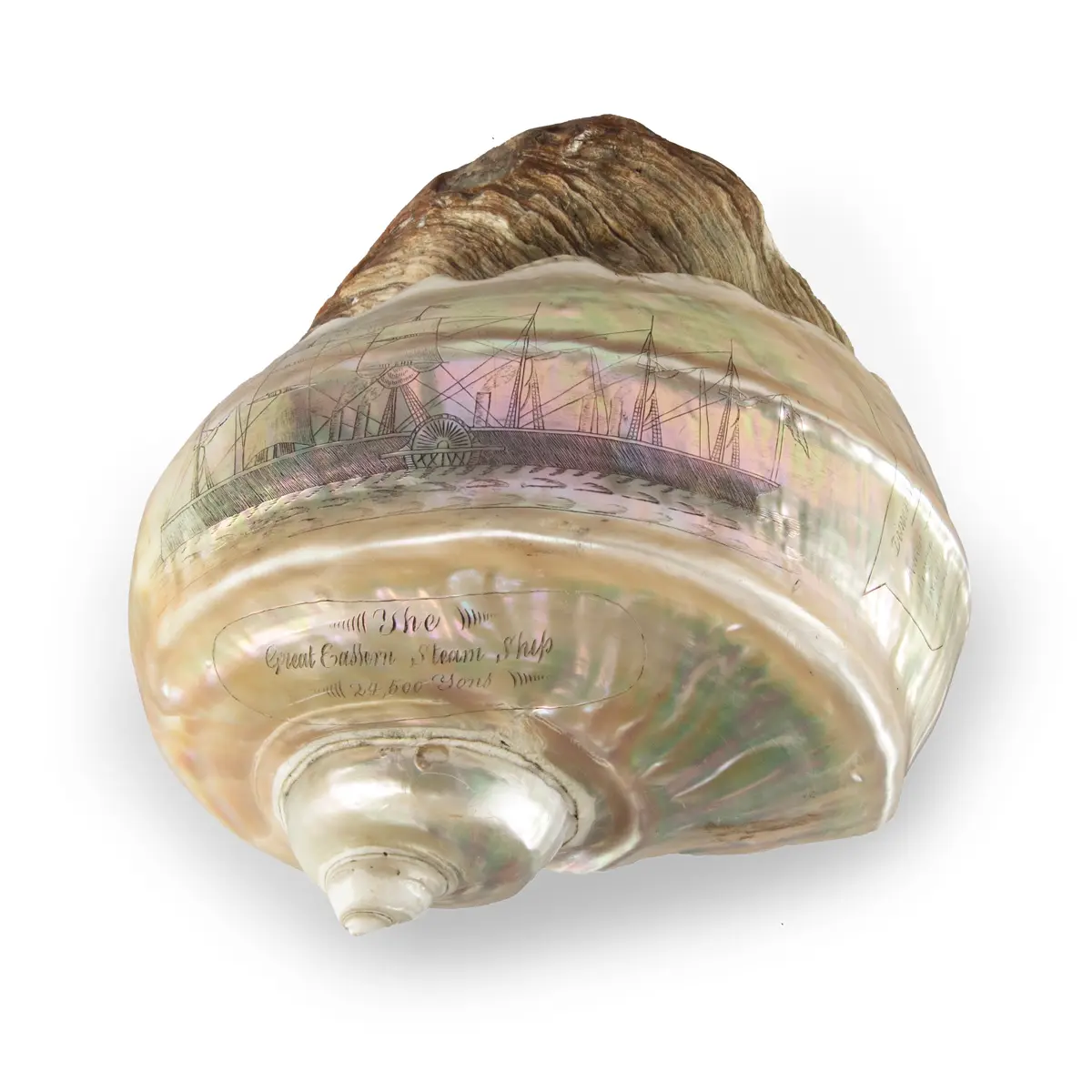 A Finely Engraved Turban Shell Featuring a Vignette of the S. S. Great