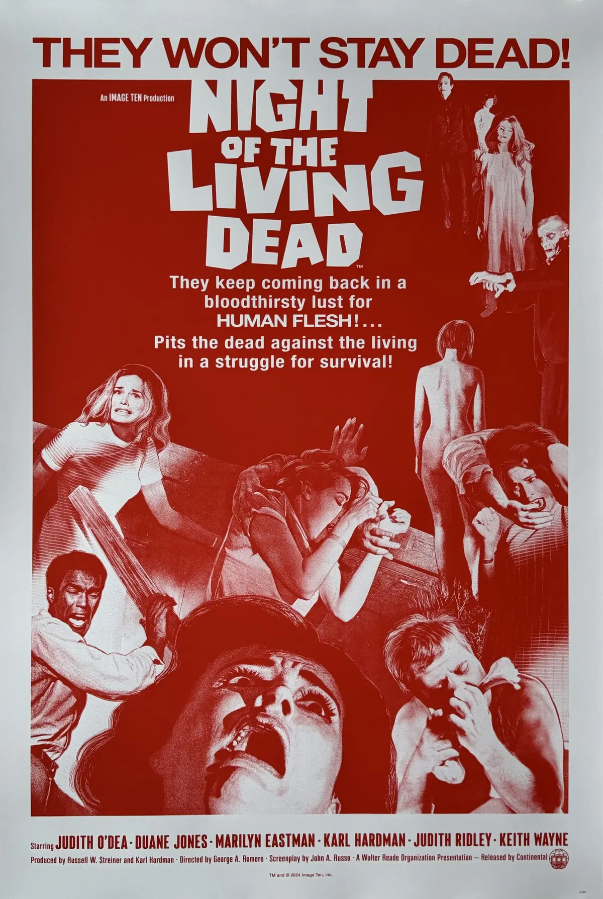 Original Night of the Living Dead Alternative Movie Poster - Zombie