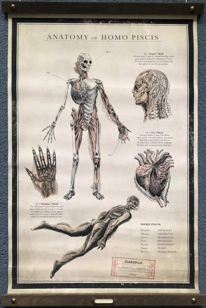 The Shape of Water Movie Poster - Guillermo Del Toro - Sci Fi - Doug Jones