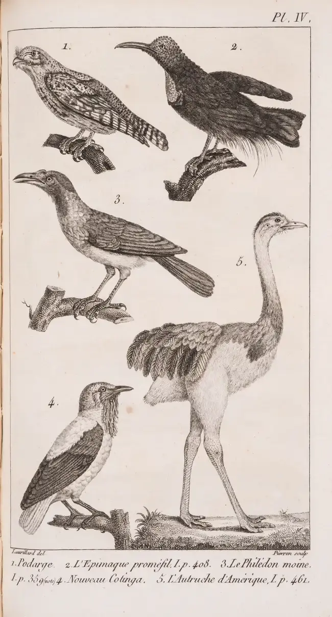 Zoology.- Cuvier (Georges C.L., Baron) Le Règne Animal Distribué d'après