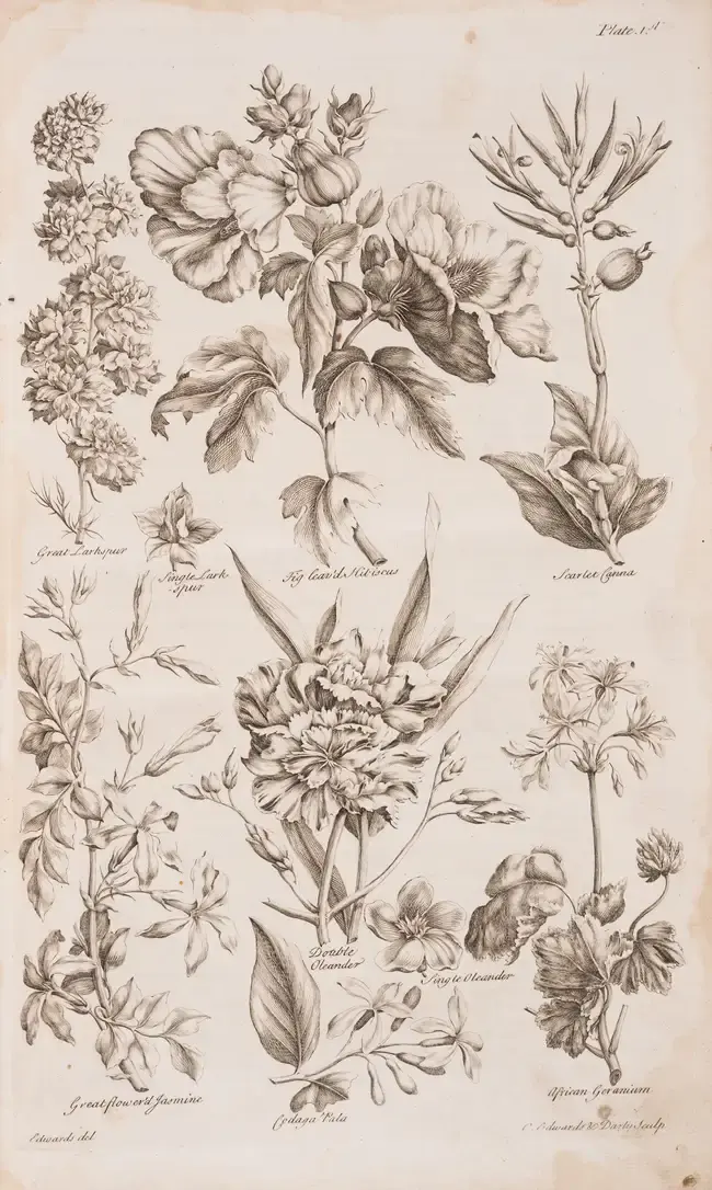 Gardening.- Hale (Thomas) Eden: Or, a Compleat Body of Gardening