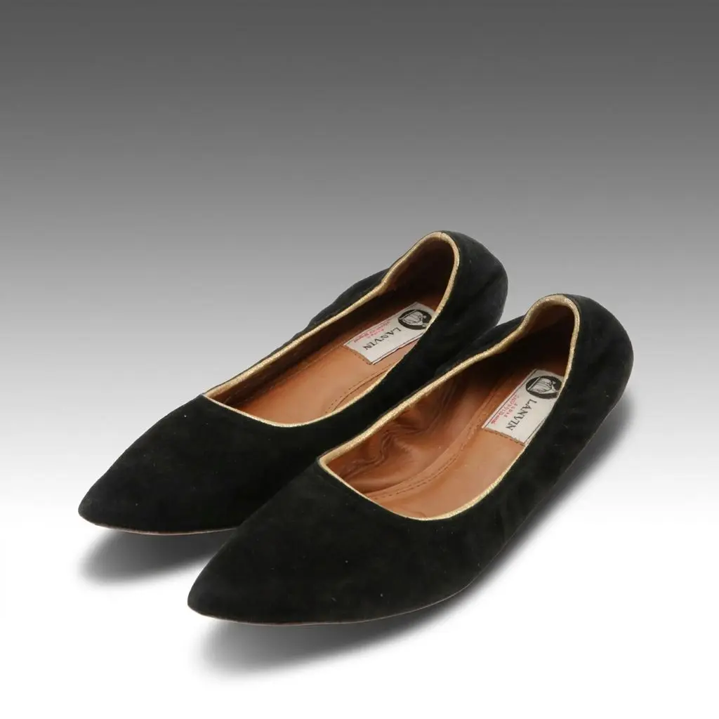 Jeanne Lanvin Pointed Toe Velvet Ballet Flats, 1960s