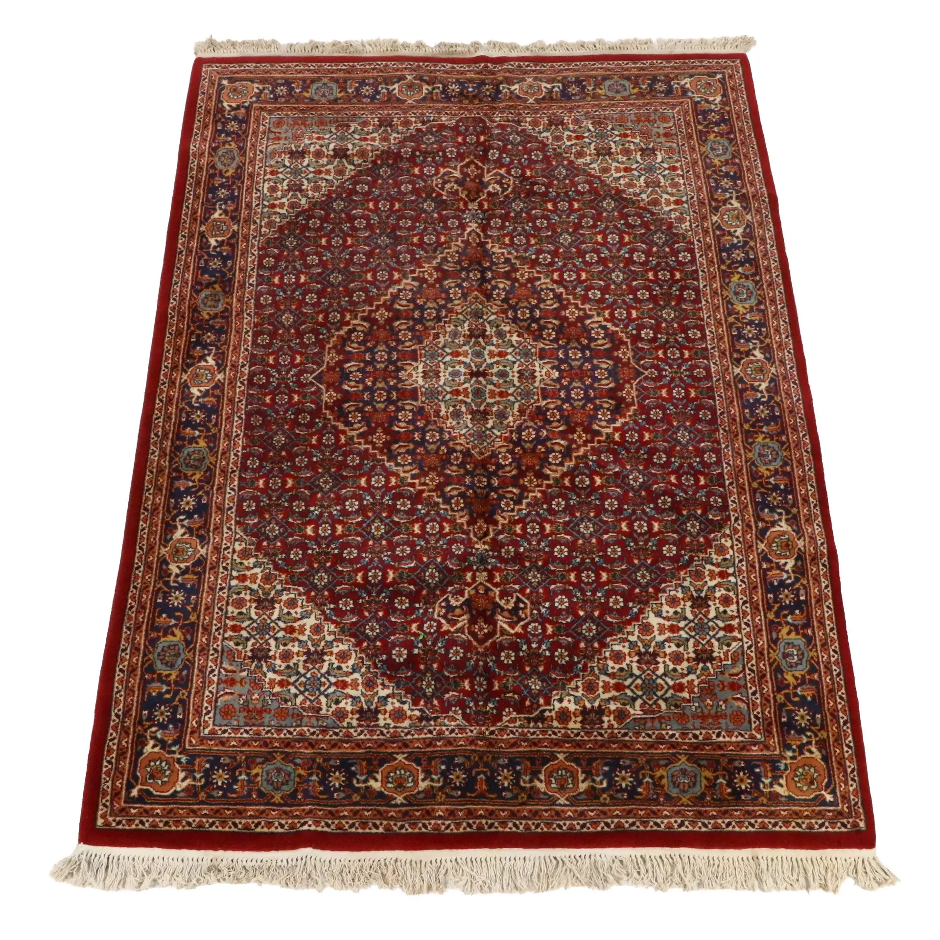 6' x 9'2 Hand-Knotted Agrippa Indo-Persian Bijar Area Rug