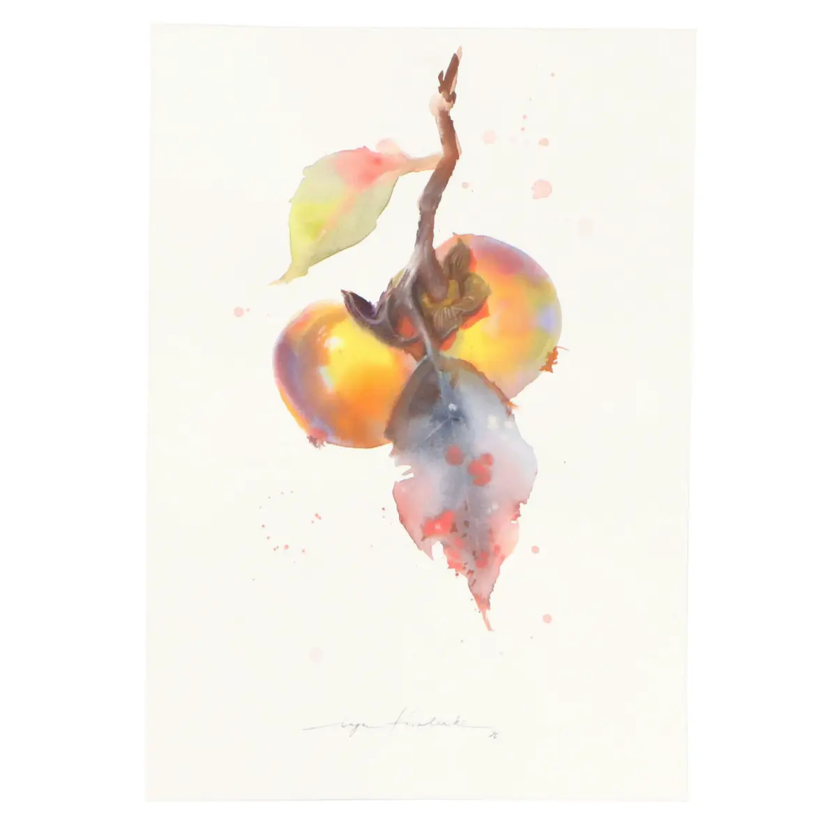 Inga Kovalenko Watercolor Painting of Persimmons, 2026