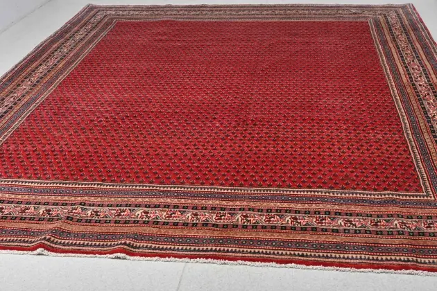 Orientmatta, Sarough mir
