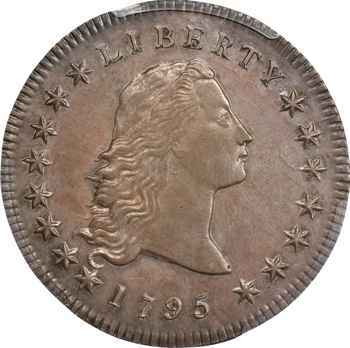 1795 Flowing Hair Silver Dollar. BB-21, B-1. Rarity-1. Two Leaves.