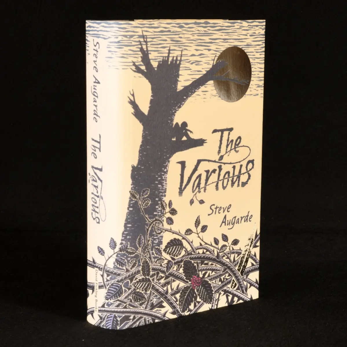 [Signed] [First Edition] The Various Steve Augarde [Used - Fine] [Hardcover]