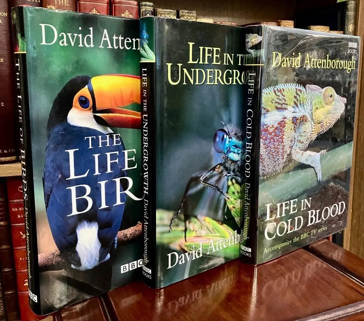 [First Edition] THE LIFE OF BIRDS