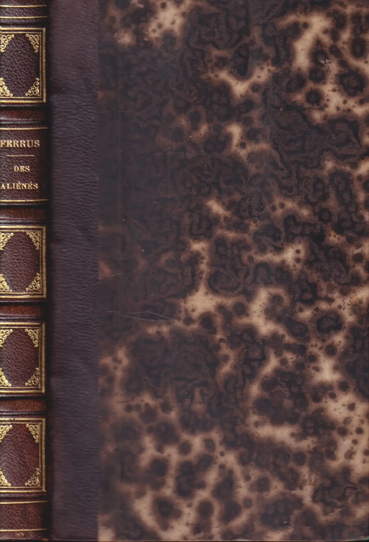 [First Edition] Des Aliénés