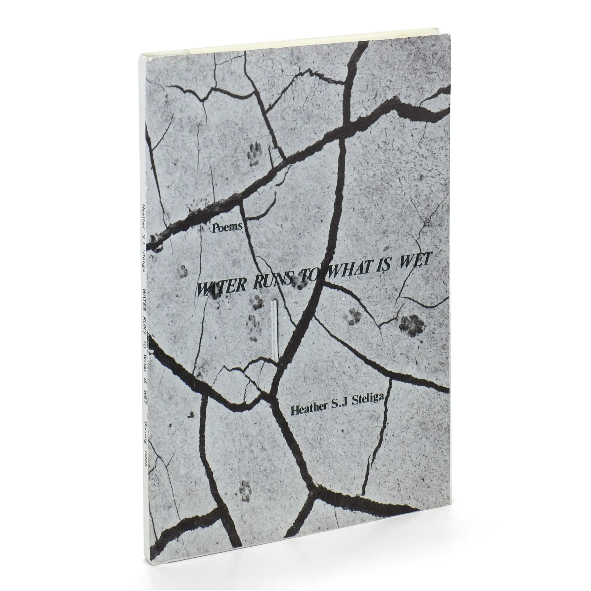 [Signed] [First Edition] Water Runs to What Is Wet [Signed] STELIGA