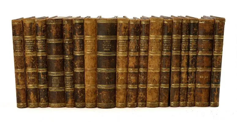 H. G. Ludwig Reichenbach: Icones Florae Germanicae et Helveticae.