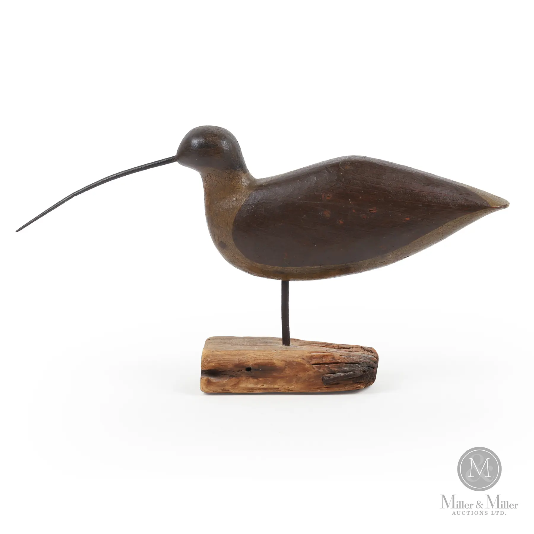 Curlew, Cape May NJ