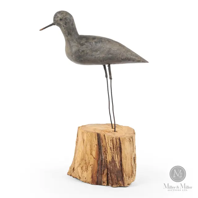 Plover, Toronto