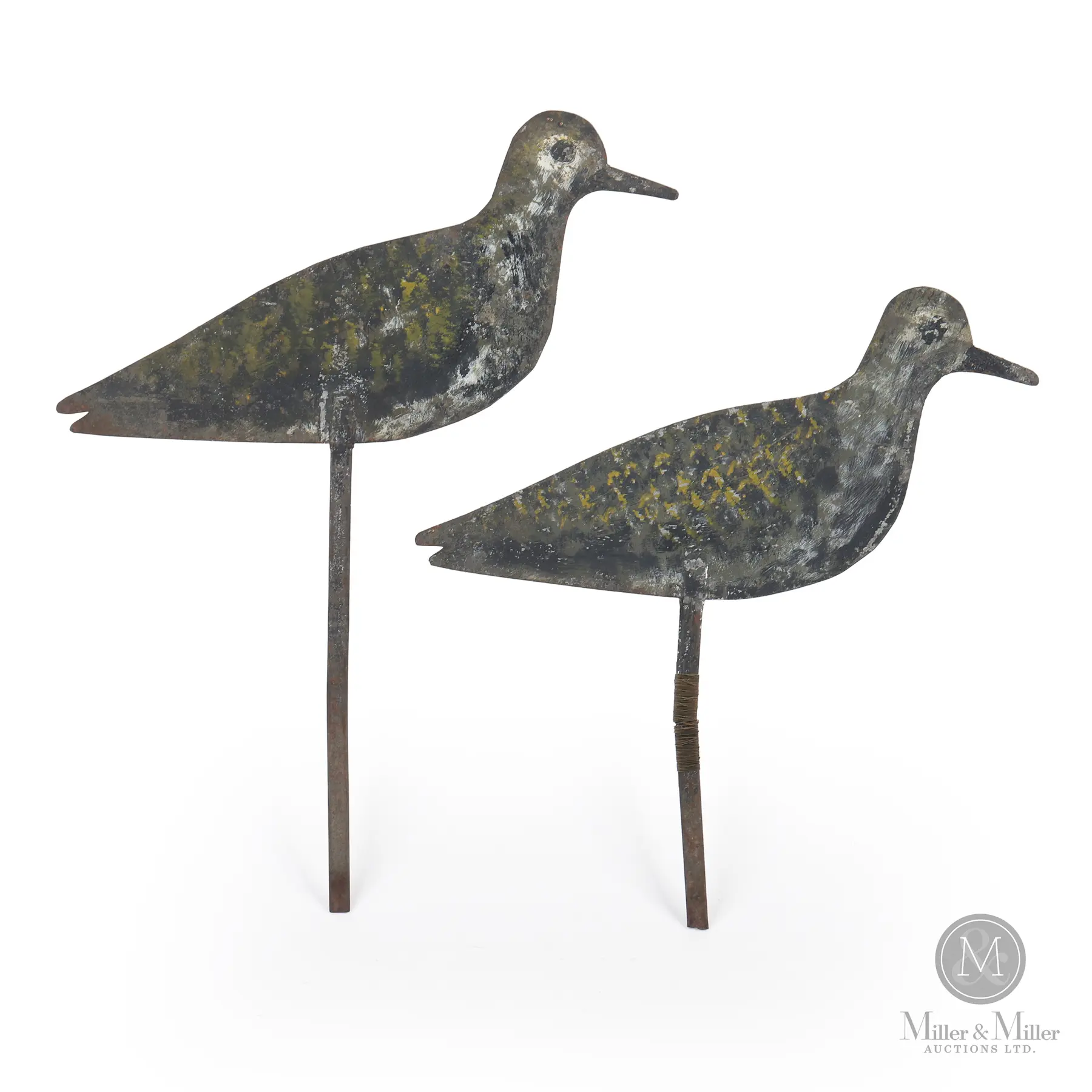Golden Plover Silhouettes, Reeves, Toronto