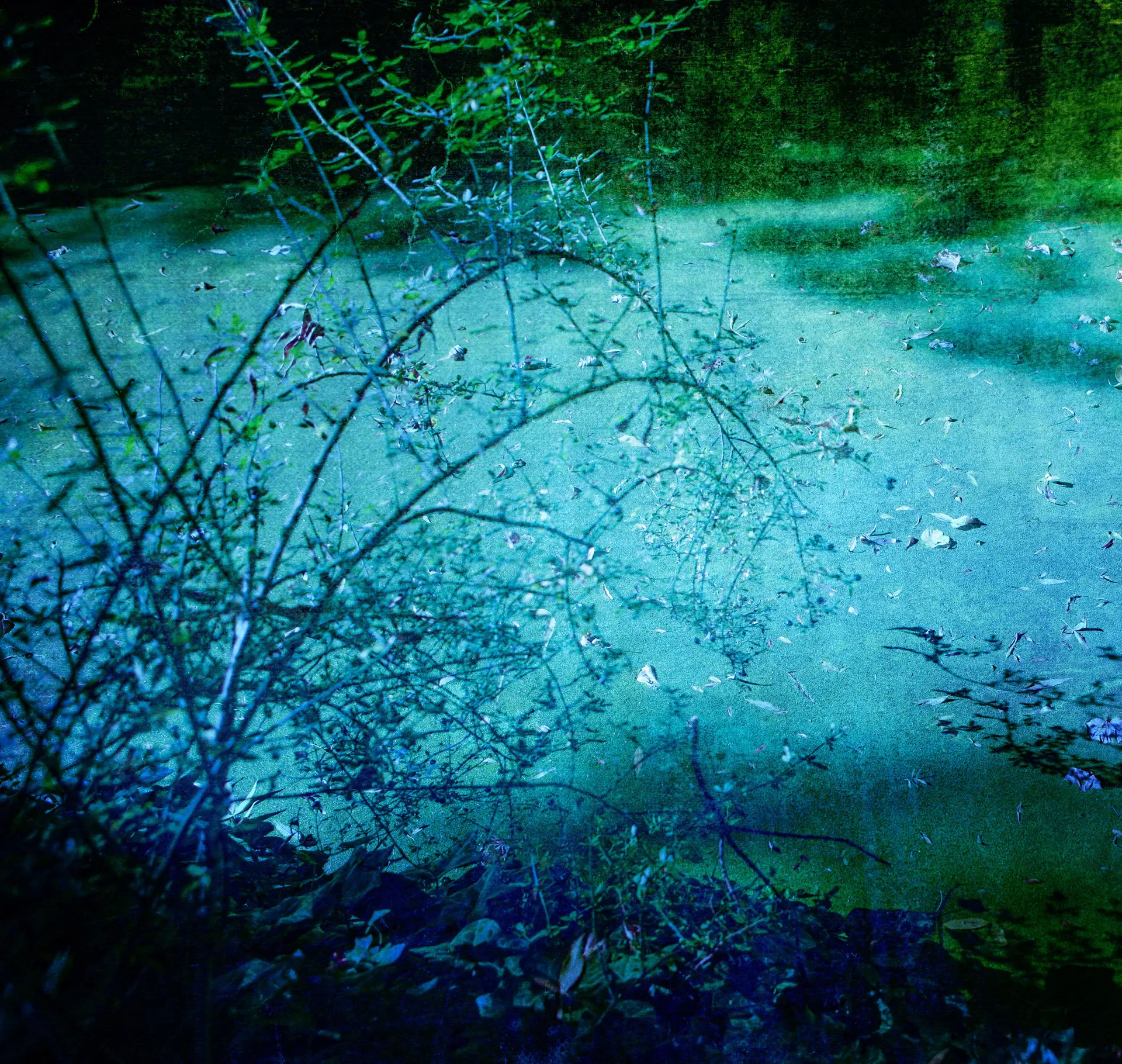 Silence of the moon I - Viet Ha Tran