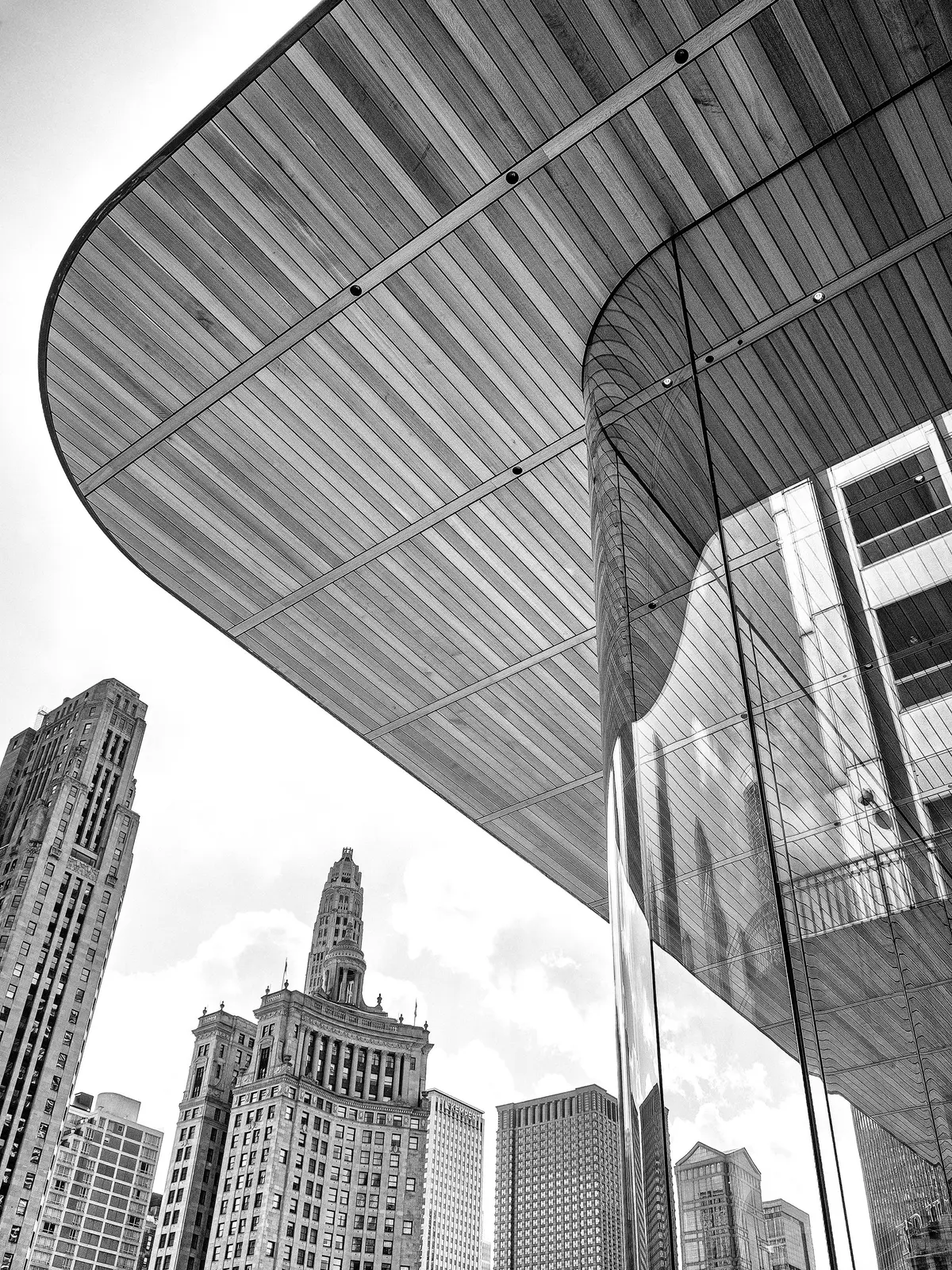 THE ROOF'S EDGE Chicago IL - William Dey