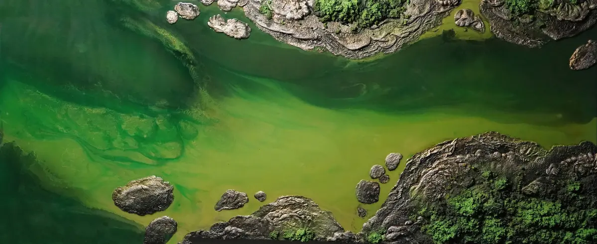 Forest Edge Waters - Petra Meikle de Vlas
