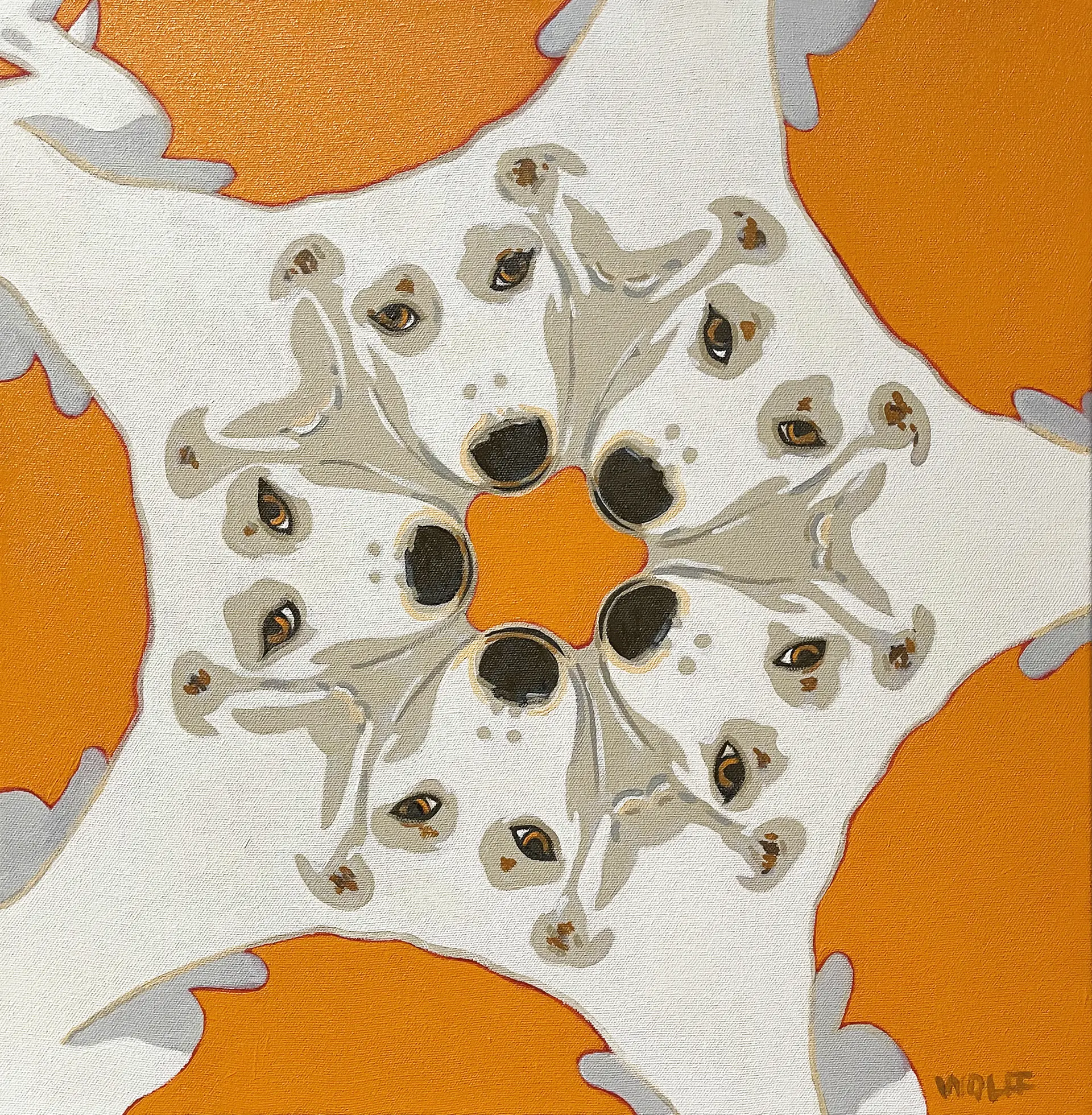 Dog Is Watching You - Dwayne Wolff