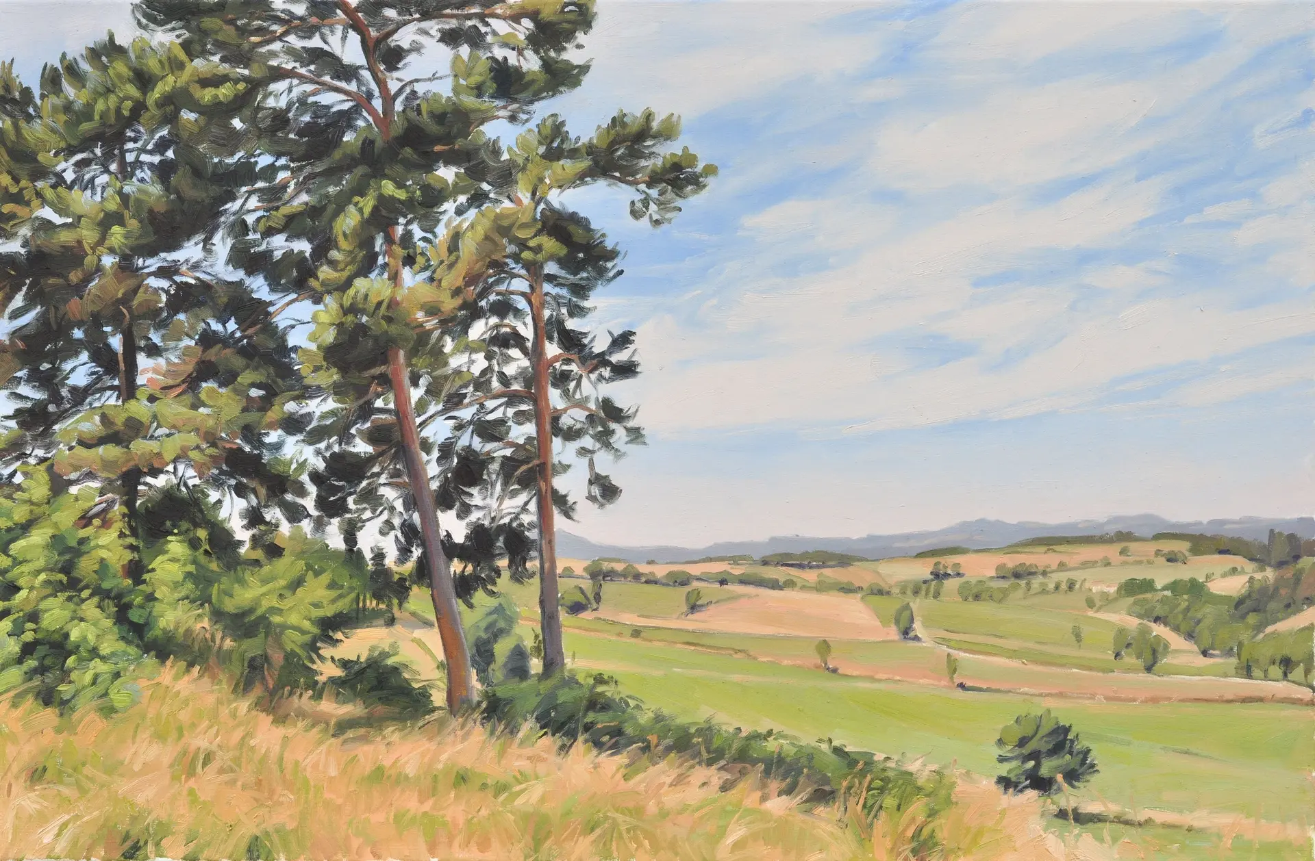 June 24 summer light Velay Mountains - Anne Baudequin