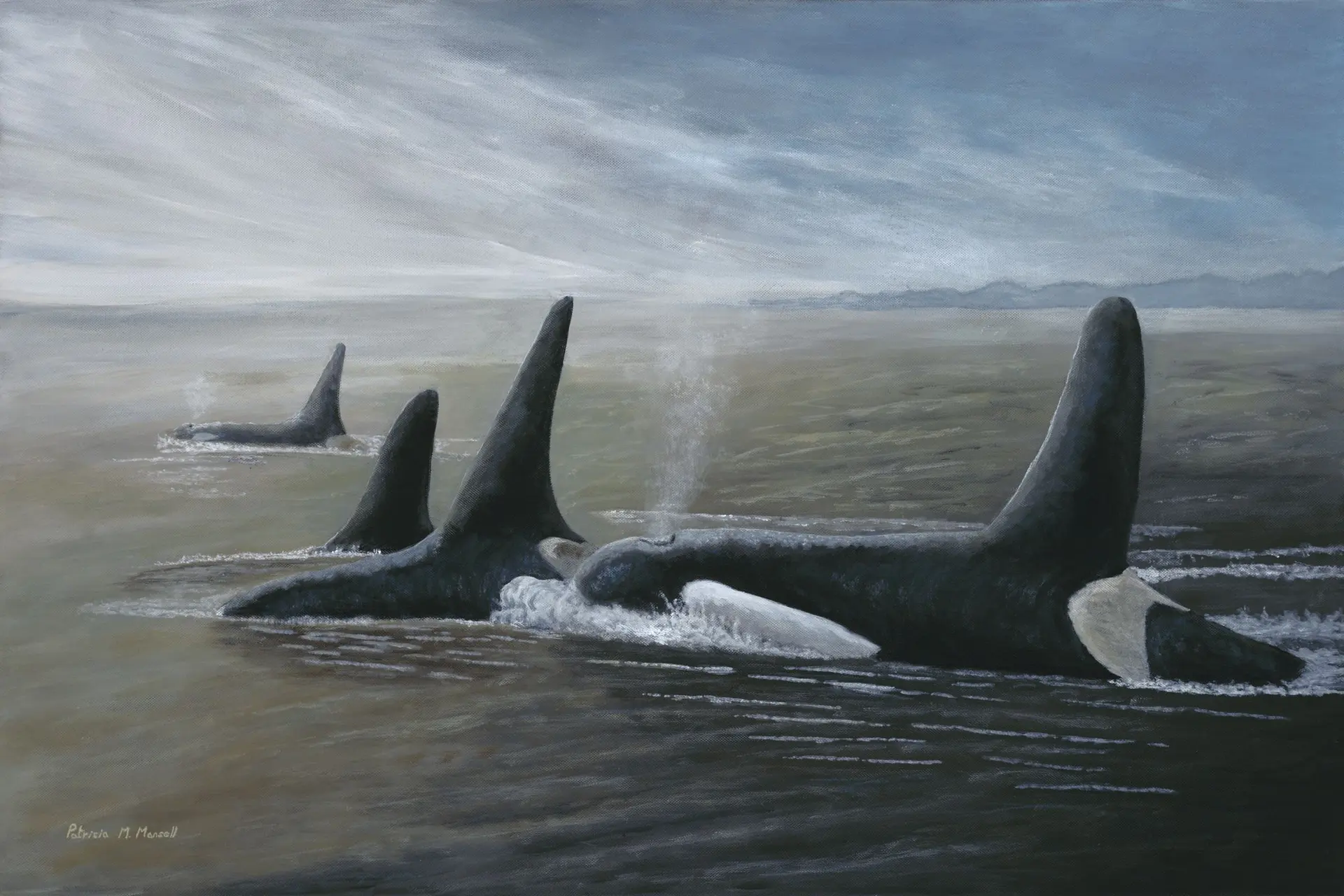 PROESSION (Orca) - Patricia Mansell