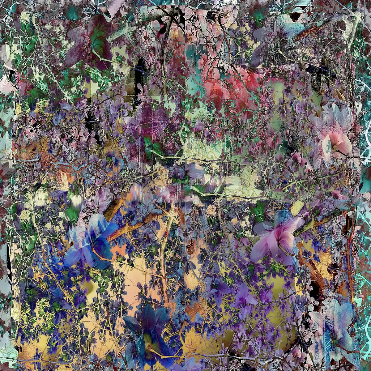 High summer colors 25 - geert lemmers