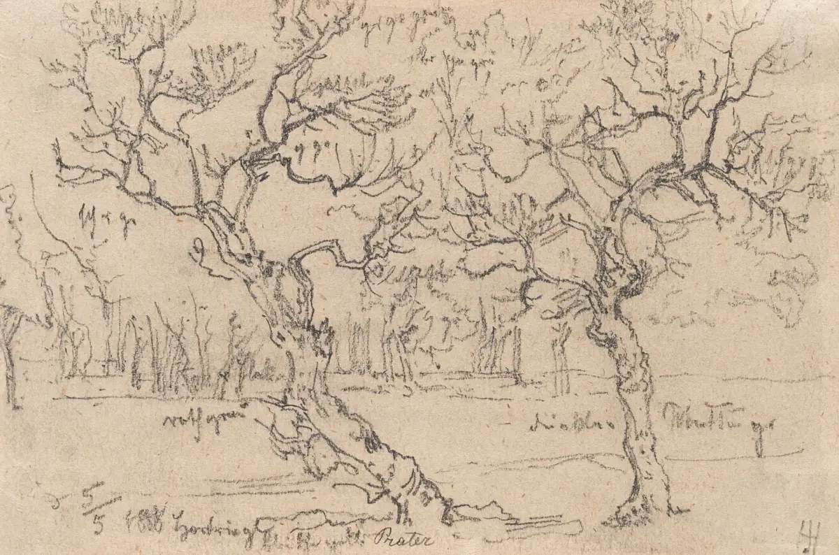 Monogram HH (19th), Trees in the Prater, 1888, Pencil Monogrammist