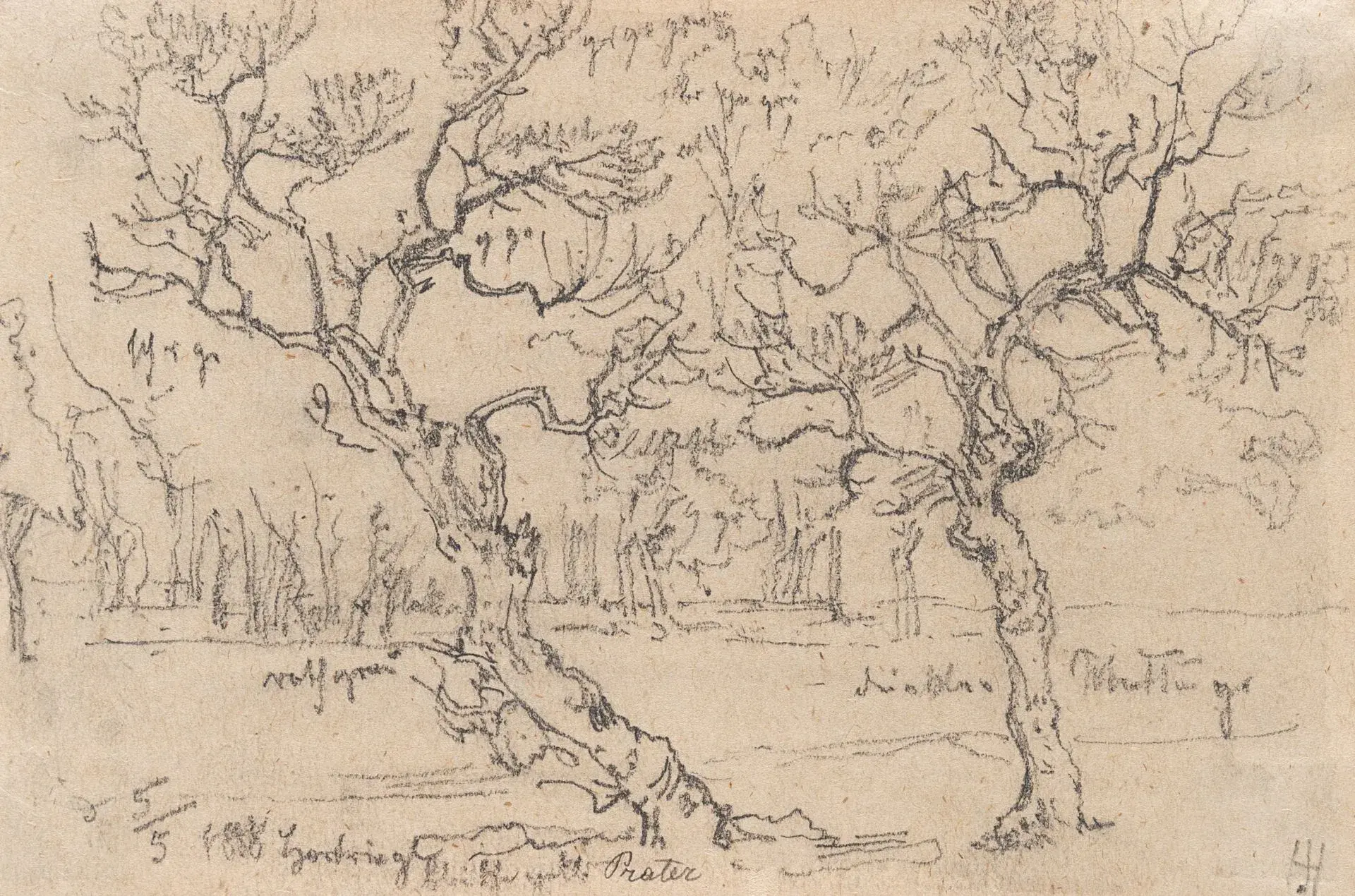Monogram HH (19th), Trees in the Prater, 1888, Pencil Monogrammist