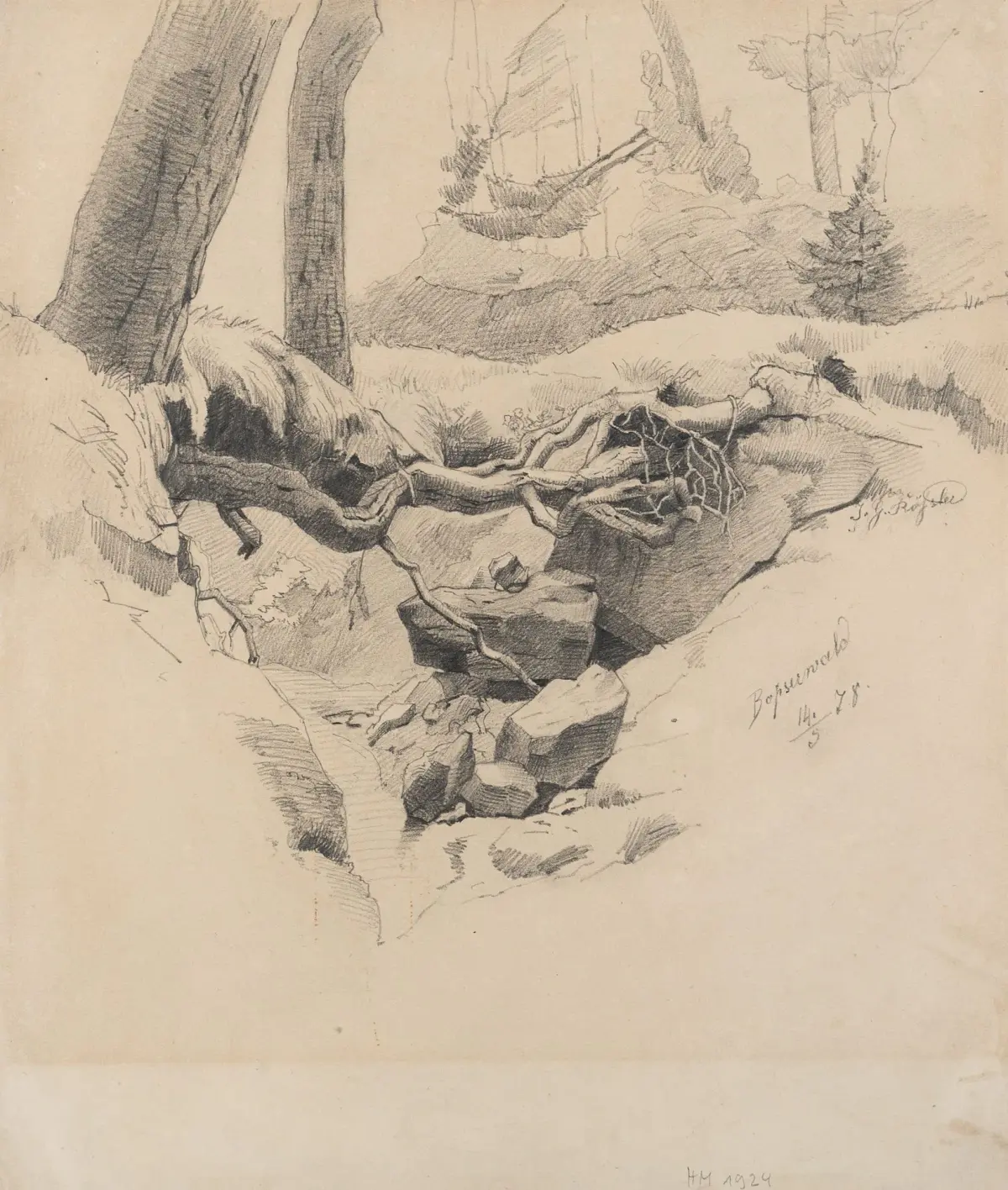 J. ROESSLER (19th), Root in the Bopser Forest, 1878, Pencil J.G. Roessler
