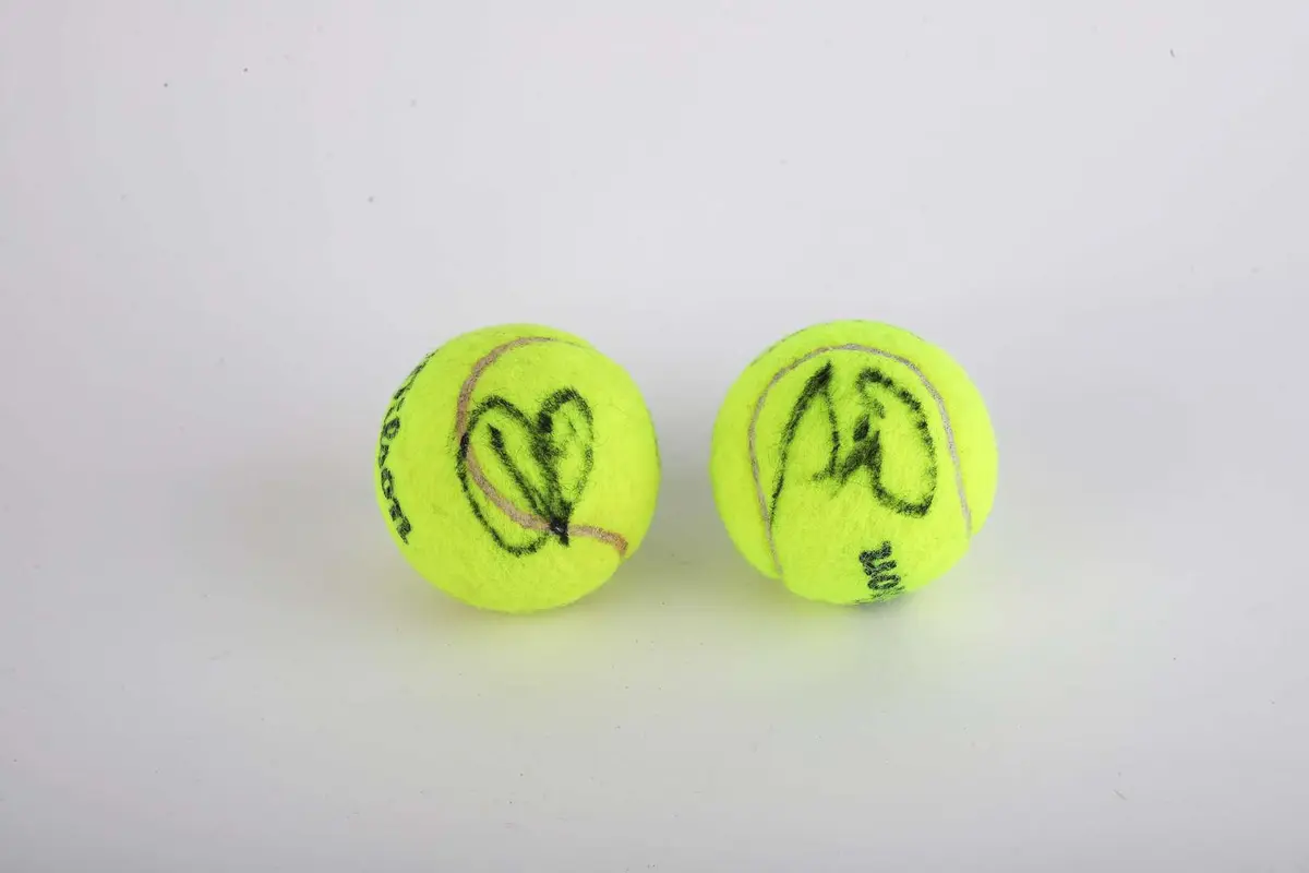 TENNIS Novak DJOKOVIC et Rafael NADAL