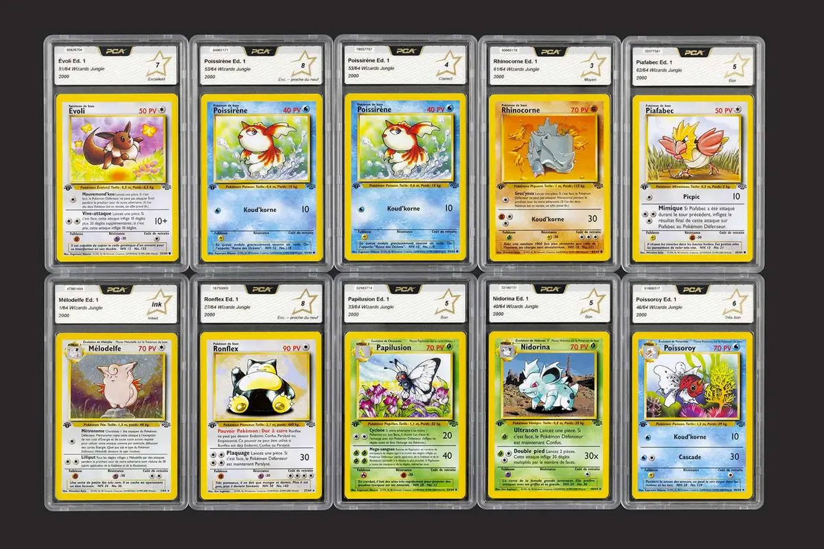 Pokémon: Jungle